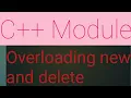 Overloading new and delete operators in C