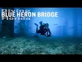 Florida s Best Shore Dive - Diving The Blue Heron Bridge