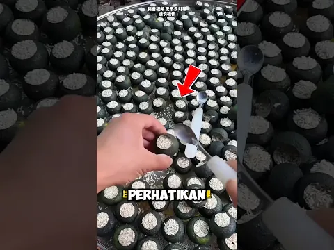 Kulit Jeruk Diisi Beras, Ternyata Ini Alasannya! 😱🍊