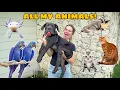 FEEDING ALL MY ANIMALS House Tour