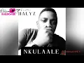 Download Lagu foster Halyz... Nkulaale (official video) #michaeltonkanya #edenichealthcarezm