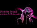 Favorite Sound - Audien & Echosmith (Lyrics)