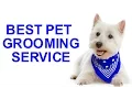 Dog Groomer Henderson Call 919 692 1119 Pet Grooming Services Henderson NC