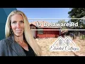 37 Delaware Road Manitou Springs CO 80829