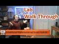 IST256 Learn Python Lab 03 Walk Through