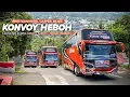 Download Lagu [ BEGINI HEBOHNYA SAAT 3 ARTIS TELOLET BRIS DALAM 1 ROMBONGAN ! ] PERANG TELOLET SEMUA VERSI !