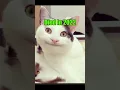 Old Memes Then Vs Now