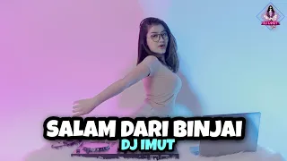 Download DJ SALAM DARI BINJAI || ASIK BUAT PARGOY (DJ IMUT REMIX) MP3