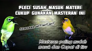 Download Masteran Pleci full Nembak speed rapat‼️ wajib di Coba Agar Pleci ikut Nembak MP3