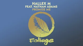 hallex m feat nathan adams promise me vocal mix 