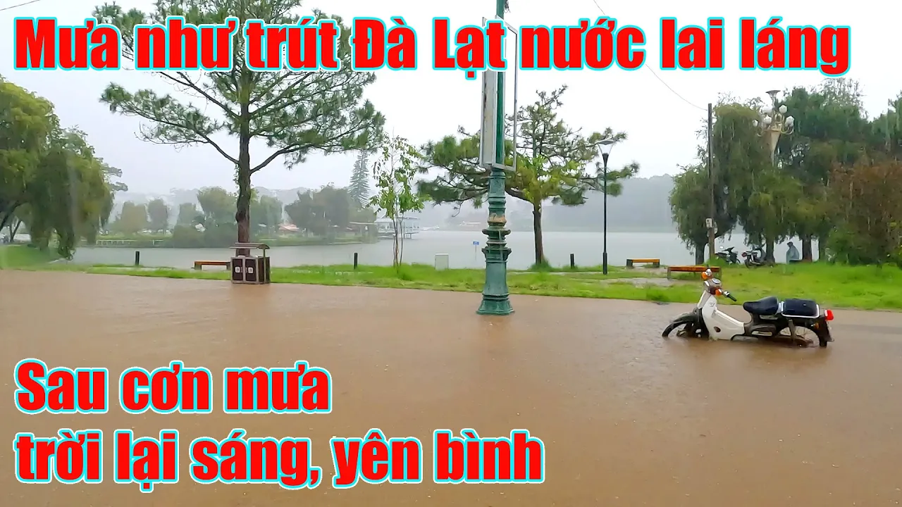 Đà Lạt mưa như trút, nước lai láng, sáng cuối tuần yên bình
