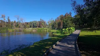 Bonnet Springs Park - Lakeland Florida Walking Tour 4K