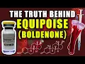 THE TRUTH BEHIND EQUIPOISE - Does Boldenone Aromatize Into Estradiol Or Act As An AI