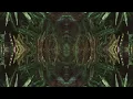 Mose & Matia Kalli - Cura Corazón