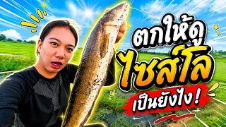 เก่งจริงมั้ย ตกแต่ปลาบ่อ ? | เด็กตกปลา