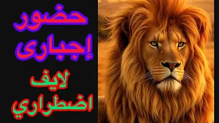 حصريا عرفنا مين صاحبة القناة حرمية الحصريات سناء اصلاح وتأديب وتهذيب وتفويت بالحيط 