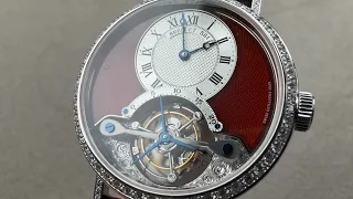                                                                            دندنها