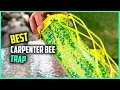 Top 4 Best Carpenter Bee Trap Review - Carpenter Bee Trap Natural Wood 2023