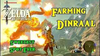 Dragon Dinraal Farming Breath of The Wild