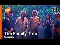 Lagu Tangarine - The Family Tree (Venice) | ALS IK HET ZING