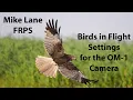 OM-1 Birds in Flight settings