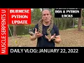 BURMESE PYTHON BEHAVIOR Plus BOA PYTHON BREEDING LOCKS 1-22-22