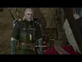 Witcher 3 - Gangs of Novigrad the most difficult quest