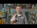 Pet City Houston