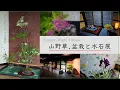 Download Lagu 「越前和紙の里」山野草、盆栽と水石展  🌱　山野草\u0026草もの盆栽Vlog    Wildflowers \u0026 Grass Bonsai