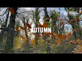 Download Lagu Autumn | Introduction to the Ritual Year