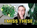 The Plants I Still Think About Might Re-Buy