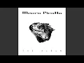 Download Lagu Komodo