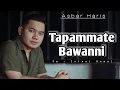 Download Lagu Tapammate Bawanni - Asbar Haris || Lagu Bugis Viral Fyp Sound Tiktok || Karya Zainal Kamal