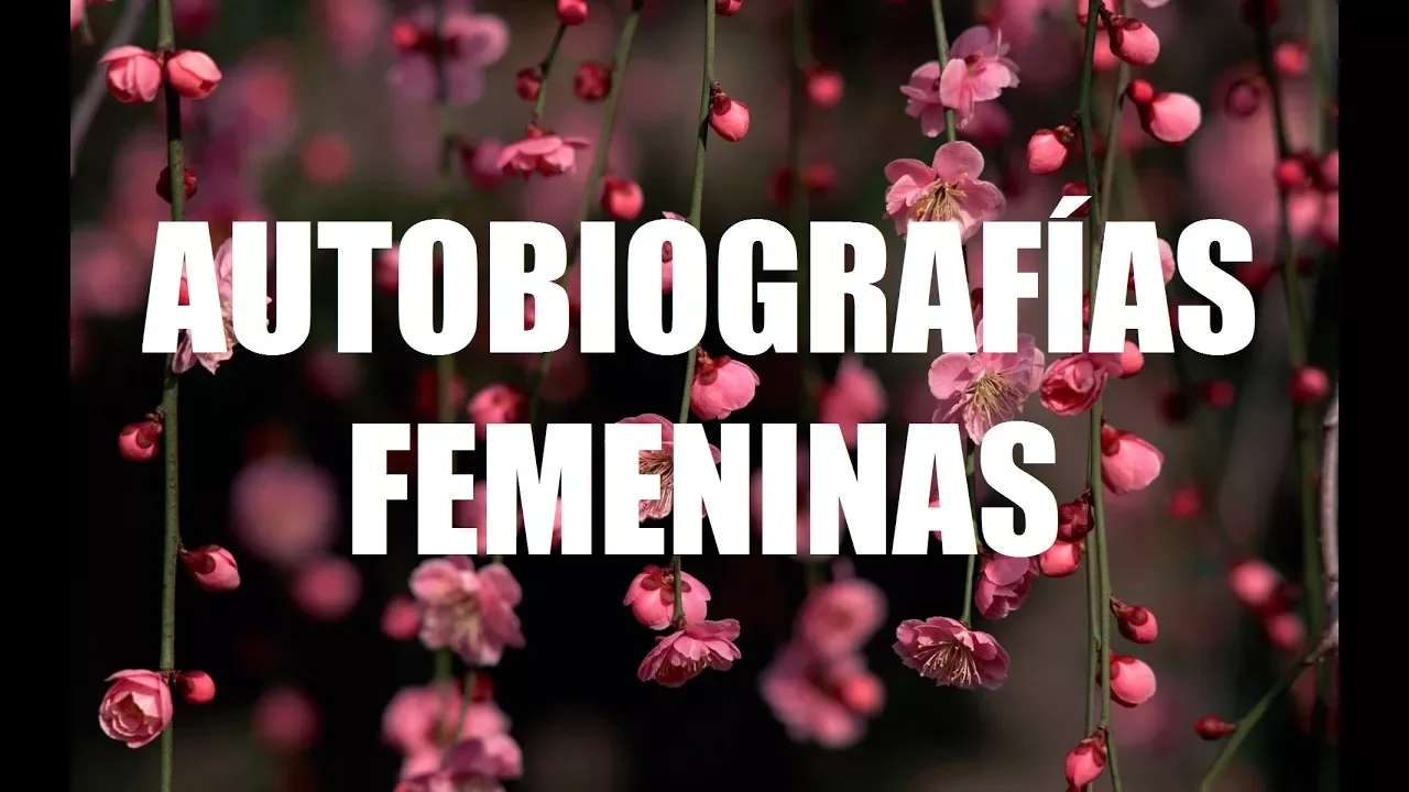 Autobiografías femeninas: tres mujeres cuentan su historia educativa.