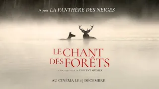 LE CHANT DES FORÊTS - Bande-annonce