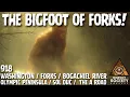 Blonde Sasquatch of the Bogachiel Washington Bigfoot Society 918