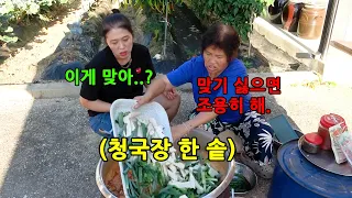 입맛 없다는 남편한테 청국장 한 솥을 끓여준다면?