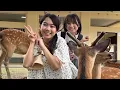 Download Lagu Japan Live 💖🦌 Hungry Nara Deer, Temples, \u0026 Maybe HiNas?? Last Day!! ⛩️🦌 はらぺこ奈良の鹿、お寺、そして多分 @hinas3 ?