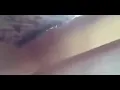 Tyrese Gibson - Congratulations meme