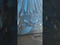 9 Drive Thru Auto Bell Car Wash is a Good Value