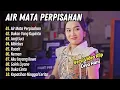 Download Lagu Diva Hani - AIR MATA PERPISAHAN - BUKAN YANG KUPINTA || FULL DANGDUT HITS 2025