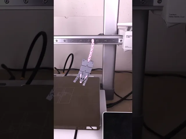 Articulated Flat Cat & Rat video thumbnail
