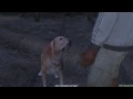 Download Lagu GTA V - Franklin talking to a dog mission