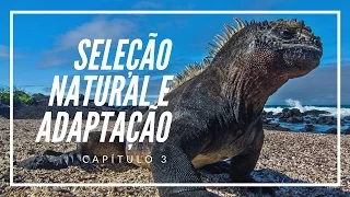 Seleção Natural e Adaptação | Filosofia das Origens #3