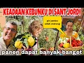 Download Lagu KEADAAN KEBUNKU DI SANT JORDI\u0026PANEN SEMUA YANG ADA DI KEBUN DAPAT SEKRANJANG, PIR JAMBU LEBAT SEKALI