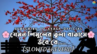 jemon shimuler tula batase ure slowed reverb lofi music 2024 