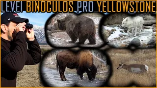 Binóculos, as pessoas não sabem usar!