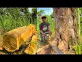 Download Lagu LOOKS SPECIAL‼️CUTTING DOWN A DRY JACKFRUIT TREE NEXT TO A RESIDENT'S HOUSE.