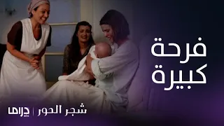 مسلسل شجر الحور الحلقة 124 دروسو تضع مولودها وسط فرحة كبيرة 