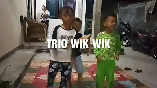 Download TRIO WIK WIK MP3